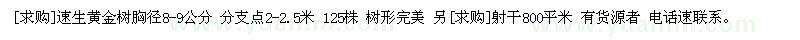 求購速生黃金樹 射干800平米