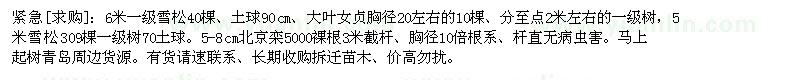 求購緊急：雪松 大葉女貞 雪松 北京欒