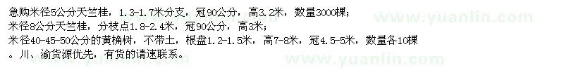 求購天竺桂、黃桷樹
