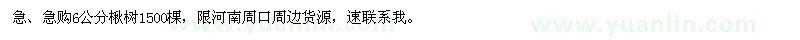 求購6公分楸樹1500棵