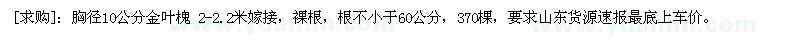 求購(gòu)胸徑10公分金葉槐 2-2.2米嫁接