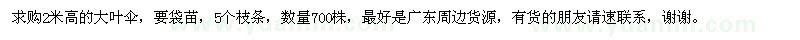 求購2米高的大葉傘