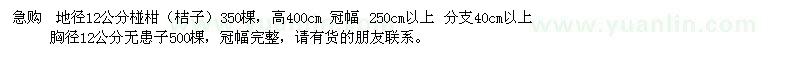 求購地徑12公分椪柑，胸徑12公分無患子