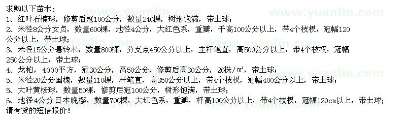 求購(gòu)紅葉石楠球、女貞、懸鈴木、龍柏等苗木