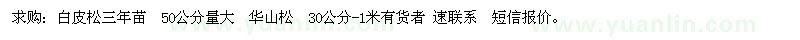 求購白皮松三年苗 