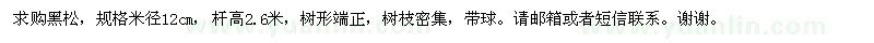 求購米徑12cm黑松100棵
