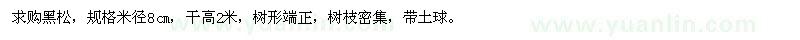 求購米徑8cm黑松100棵