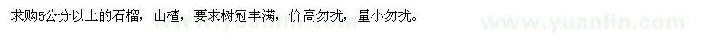 求購5公分以上山楂、石榴