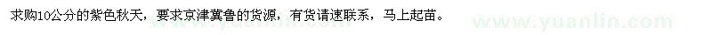 求購10公分的紫色秋天