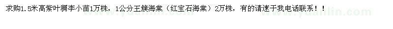 求購1.5米高紫葉稠李，1公分王簇海棠