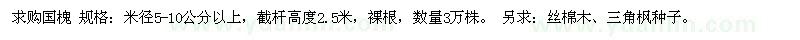 求購國槐 絲棉木、三角楓種子 