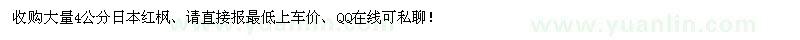 求購(gòu)大量4公分日本紅楓 