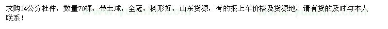 求購14公分杜仲70棵