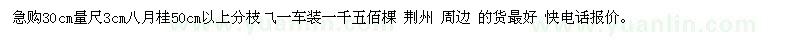 求購30cm量尺3cm八月桂50cm以上分枝