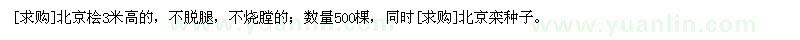 求購北京檜3米高的，不脫腿，北京欒種子