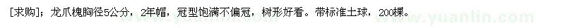 求購龍爪槐胸徑5公分，2年帽