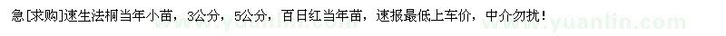 求購速生法桐當(dāng)年小苗，百日紅當(dāng)年苗