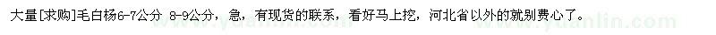 求購大量毛白楊6-7公分 8-9公分
