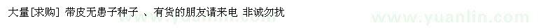 求購大量 帶皮無患子種子