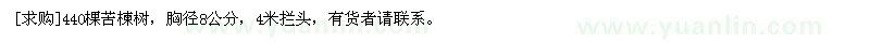 求購440棵苦楝樹，胸徑8公分，4米攔頭