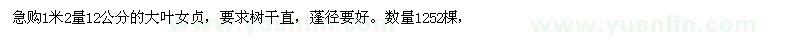求購1米2量12公分的大葉女貞