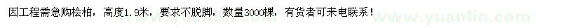 求購檜柏