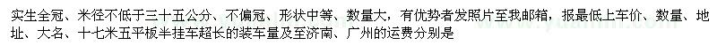 求購紅果冬青工程苗