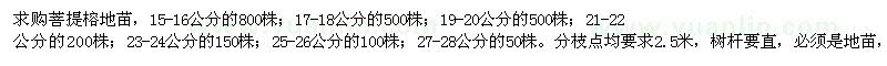 求購菩提榕地苗