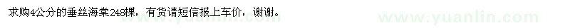 求購4公分的垂絲海棠