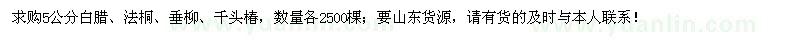 求購(gòu)5公分白臘、法桐、垂柳、千頭椿各2500棵