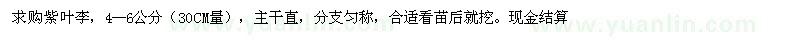 求購紫葉李