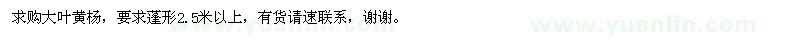 求購大葉黃楊