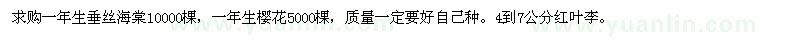 求購(gòu)一年生垂絲海棠,櫻花,紅葉李