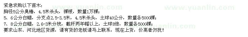 求購胸徑5公分臭椿、5、6、7、8公分白蠟