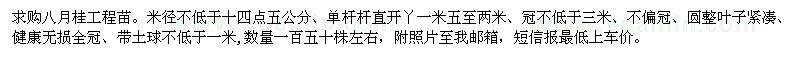 求購八月桂工程苗