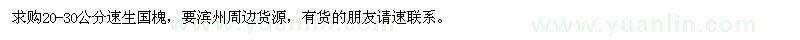 求購20-30公分速生國槐