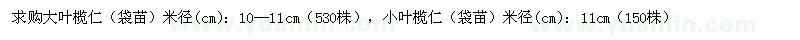 求購(gòu)大葉欖仁（袋苗）小葉欖仁（袋苗）
