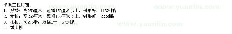 求購(gòu)黑松、龍柏、檜柏、饅頭柳