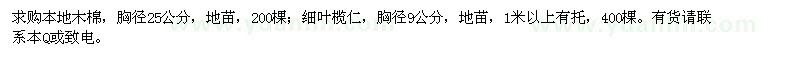 求購本地木棉,細(xì)葉欖仁