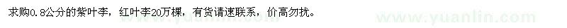 求購紫葉李、紅葉李