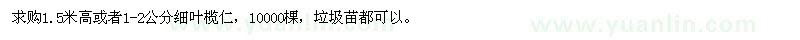 求購1.5米高或者1-2公分細葉欖仁