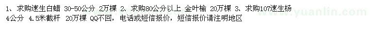 求購速生白蠟 金葉榆 速生楊 