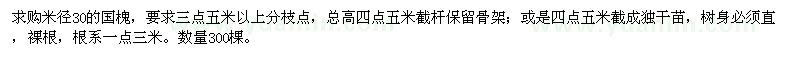 求購米徑30的國槐 