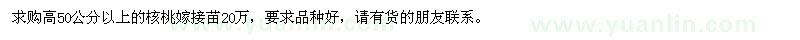 求購高50公分以上的核桃嫁接苗
