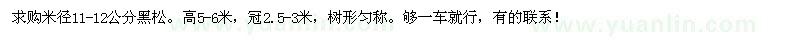 求購米徑11-12公分黑松