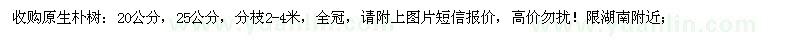 求購原生樸樹 