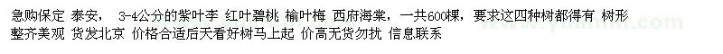 求購3-4公分的紫葉李 紅葉碧桃 榆葉梅 