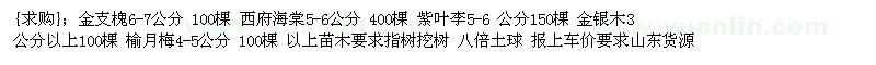 求購金支槐 西府海棠 紫葉李（山東省泰安市）