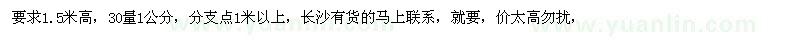 求購1.5米以上的八月桂