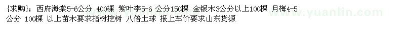 求購西府海棠 紫葉李 金銀木 月梅（山東省泰安市）